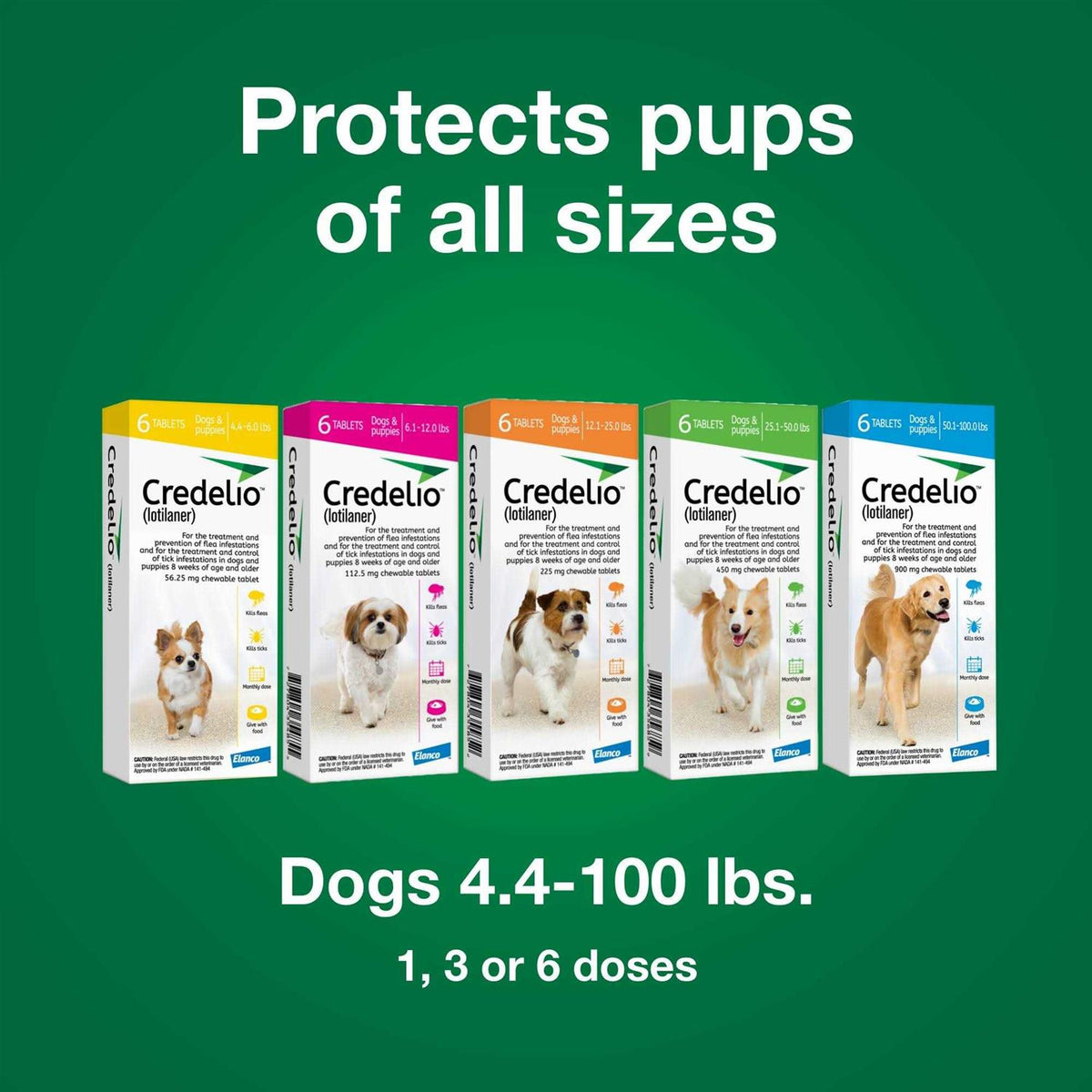 Chewable Tablet for Dogs 12.1-25 lbs D749002