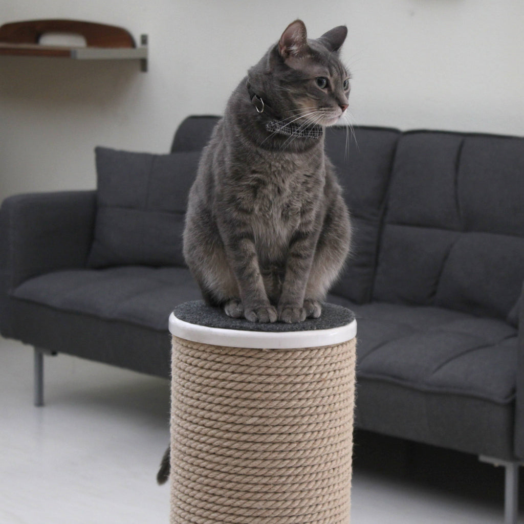 Oversized Jute Cat Scratcher and Perch, White N6854
