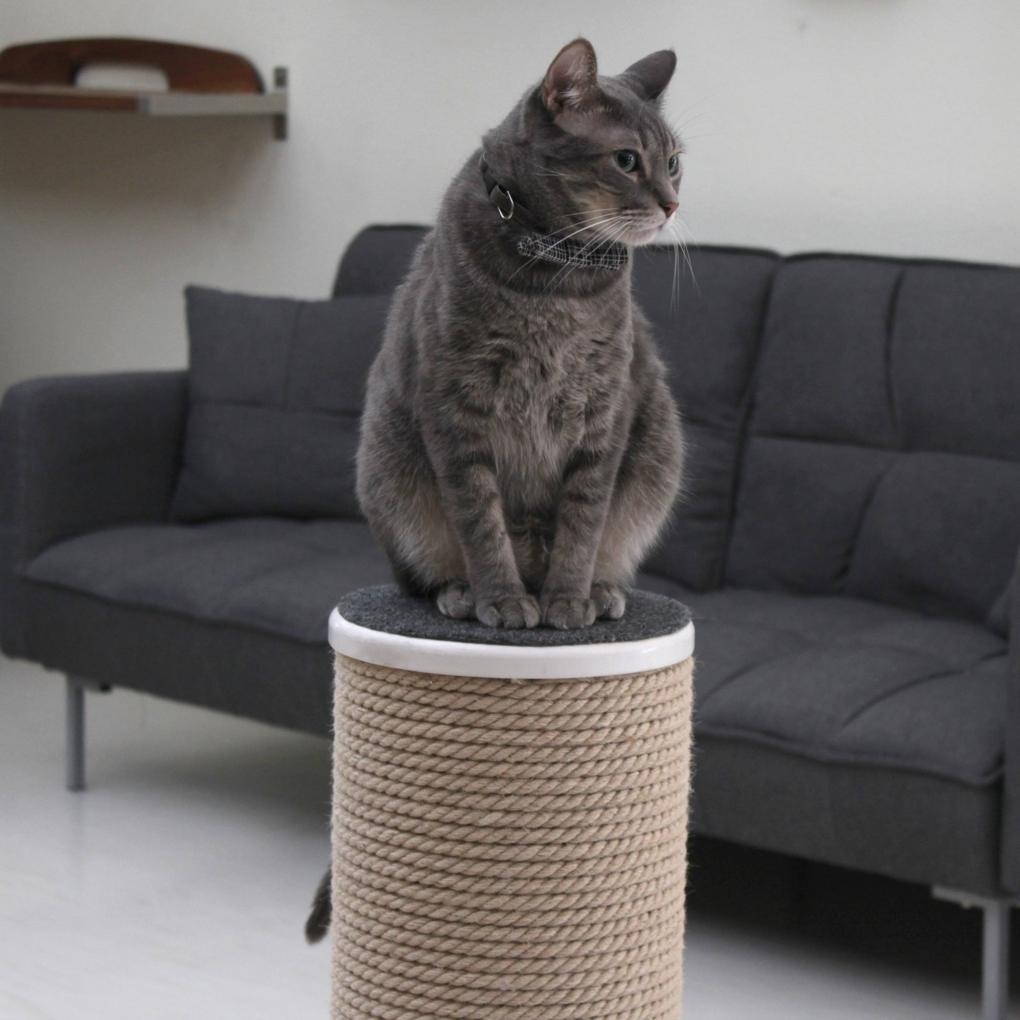 Oversized Jute Cat Scratcher and Perch, White N6854