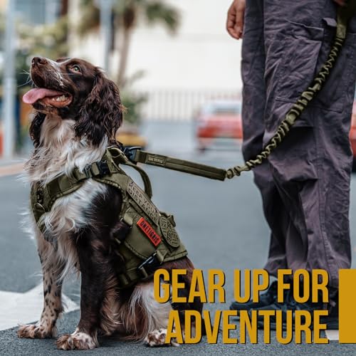 Grey Nylon Bungee Dog Training Leash with 2 Control Handle P497884