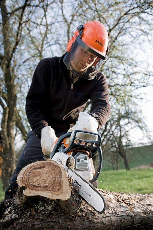 16x22 Chainsaw K54324