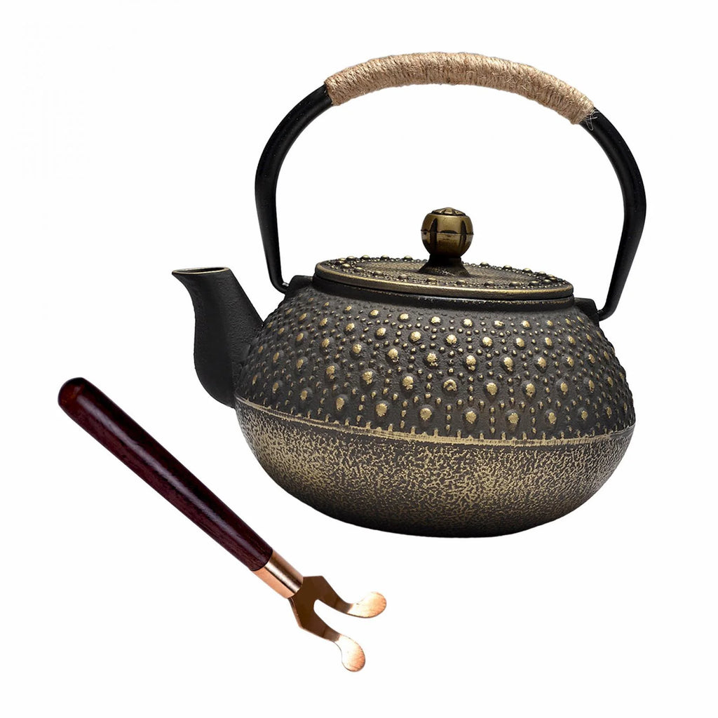 Cast Iron Teapot Farmhouse Tea Kettle D46467