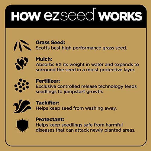 10 lb. Tall Fescue Seed and Fertilizer Mix G933868