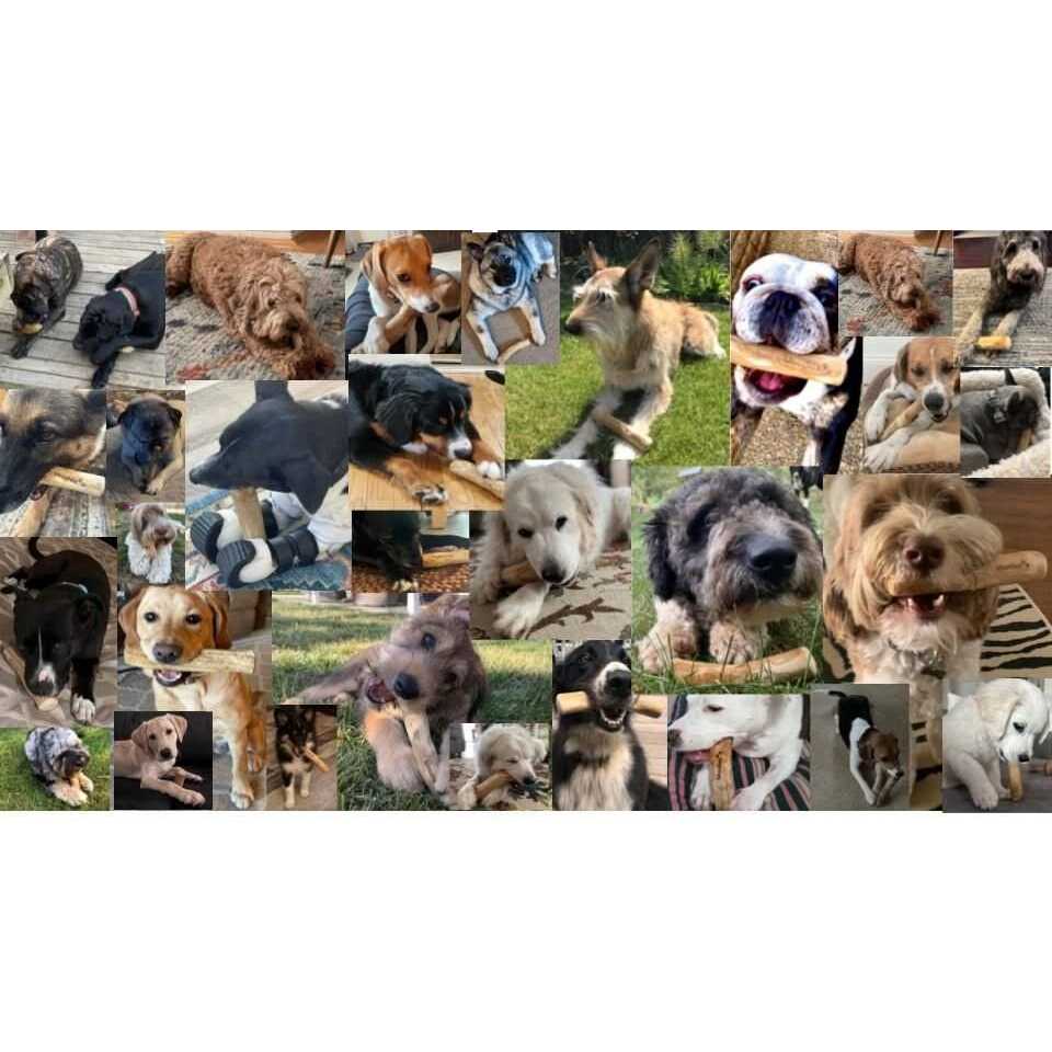 All-Natural Coffee Wood Dog Chew Toys E4144