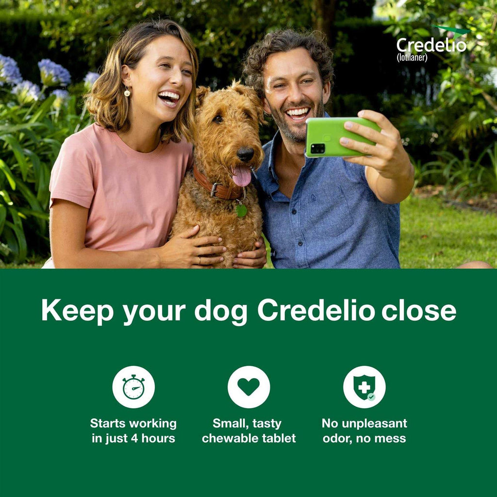 Chewable Tablet for Dogs 12.1-25 lbs D749002