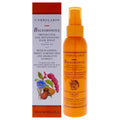 4.2 oz Leave-In Hair Spray T3315