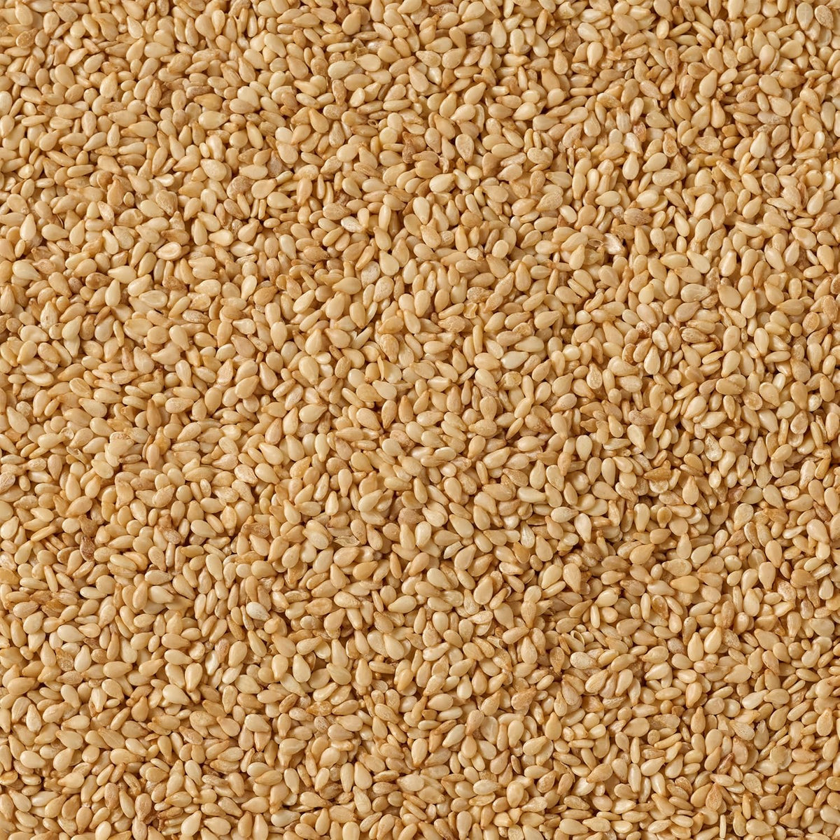 Toasted Sesame Seed, 1.62 oz T52062