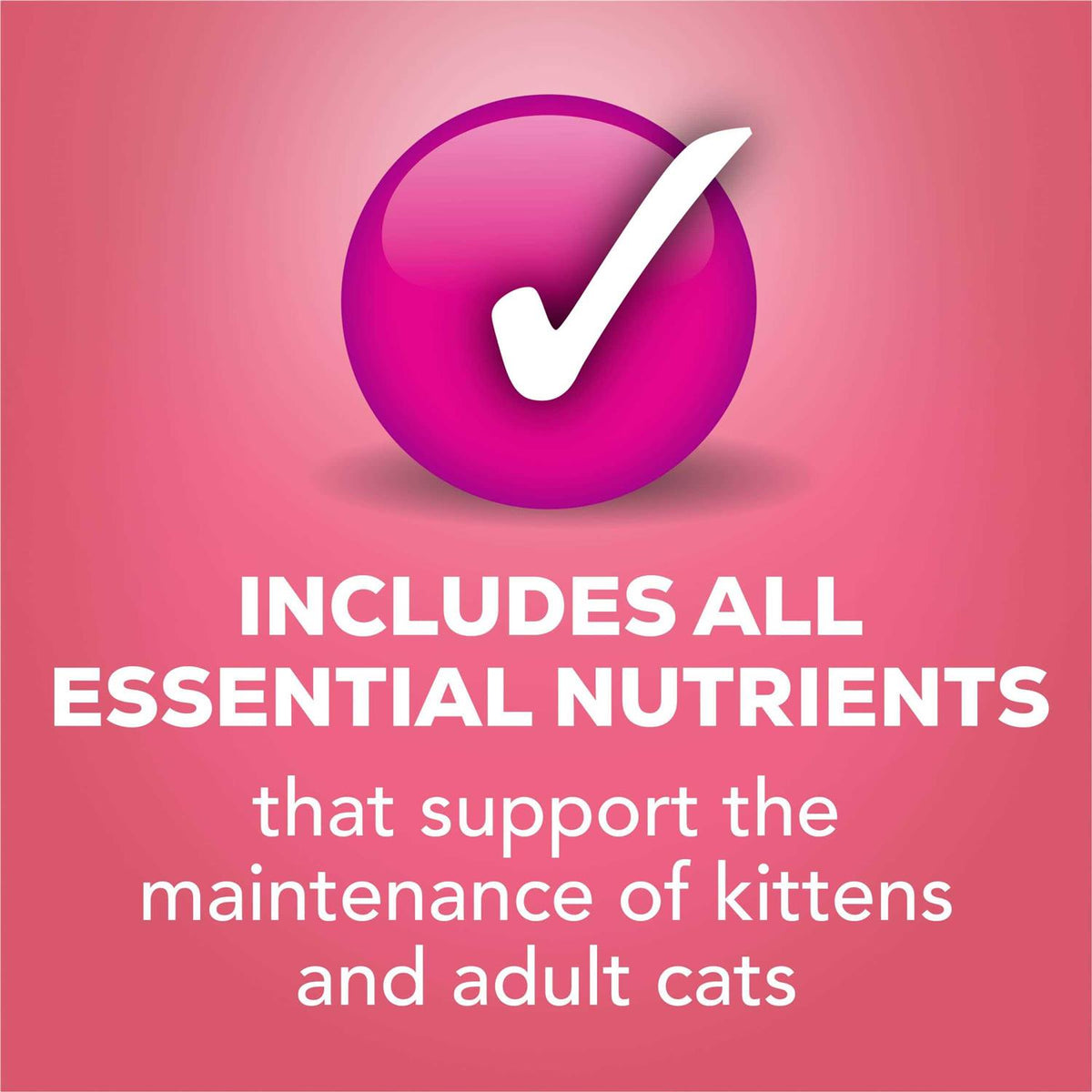 Friskies Pate Wet Salmon Dinner Cat Food K90592