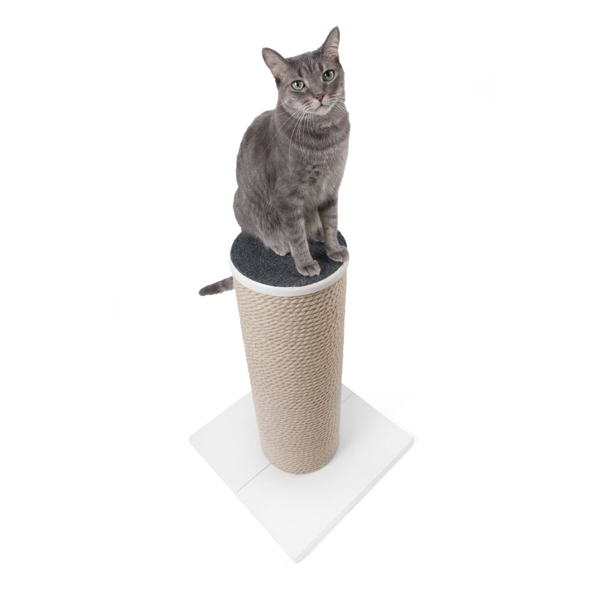 Oversized Jute Cat Scratcher and Perch, White N6854