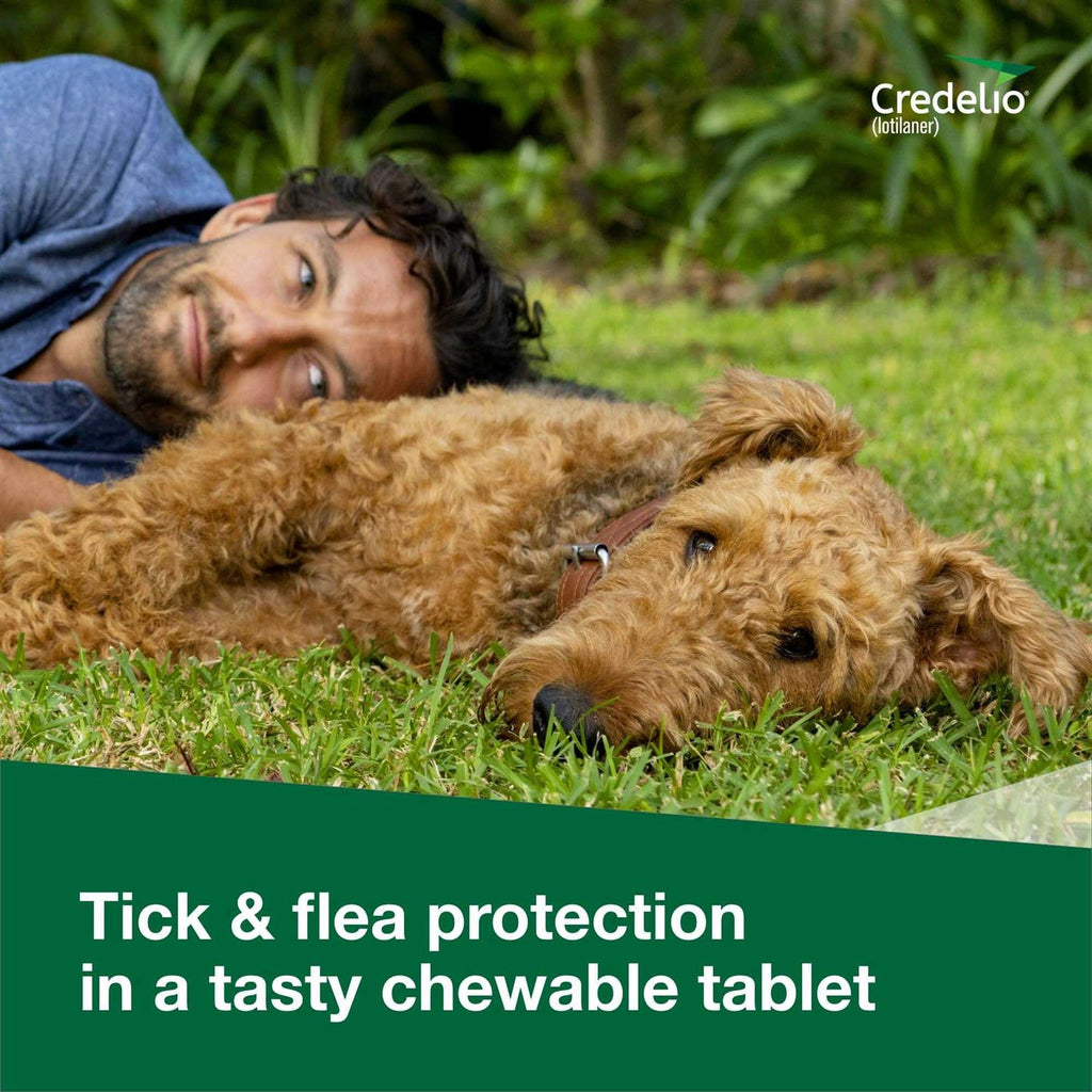 Chewable Tablet for Dogs 12.1-25 lbs D749002