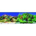 Aquarium Background G859422