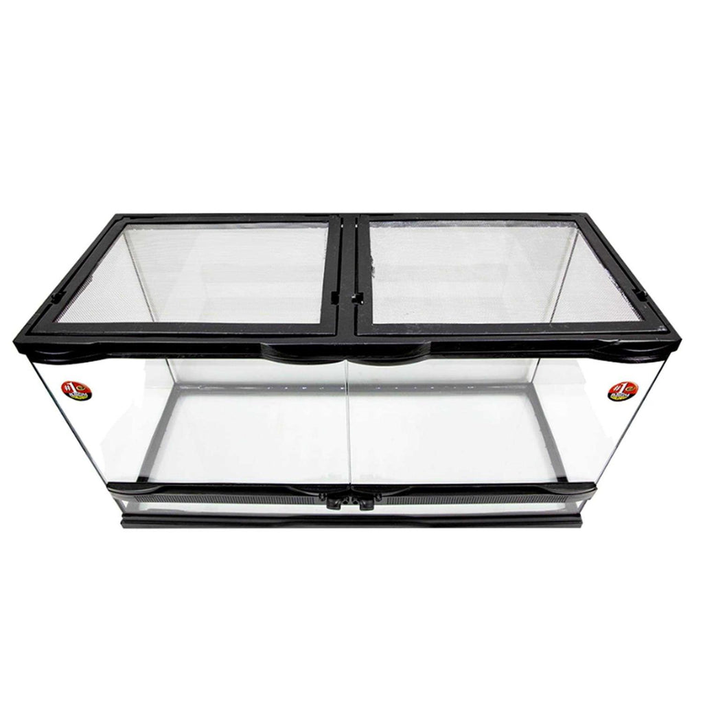 Naturalistic Terrarium Q239