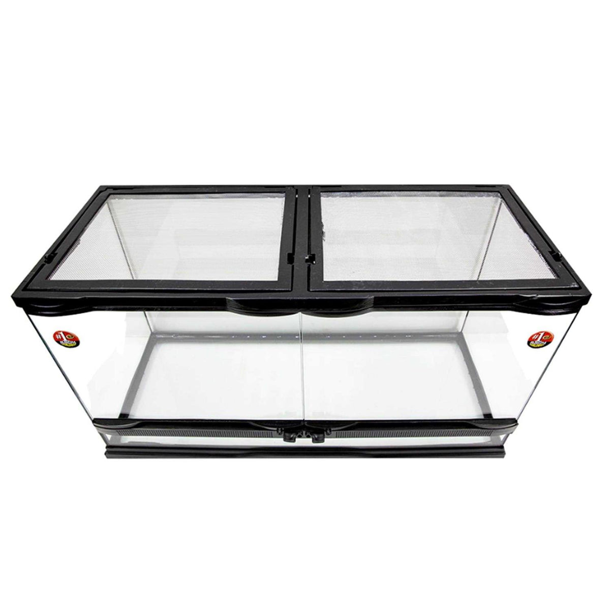 Naturalistic Terrarium Q239