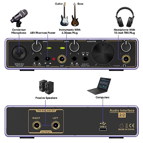 2i2 USB Audio Interface with 48V Phantom Power T590