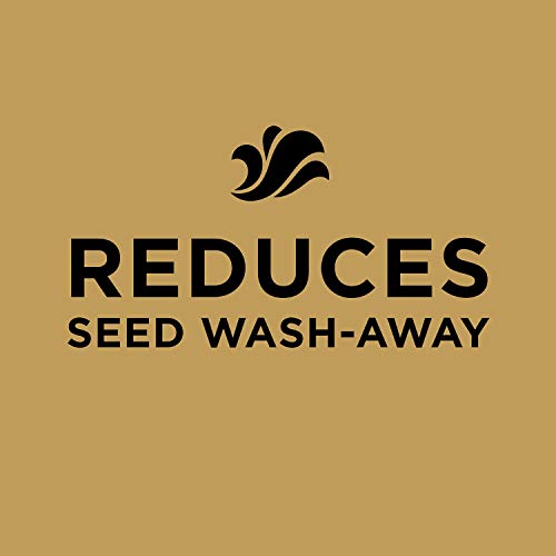 10 lb. Tall Fescue Seed and Fertilizer Mix G933868