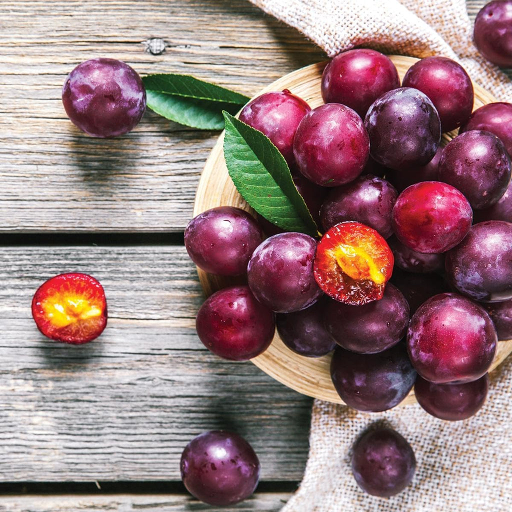 Wild Plum Tree Fruit Seeds for Planting R61054