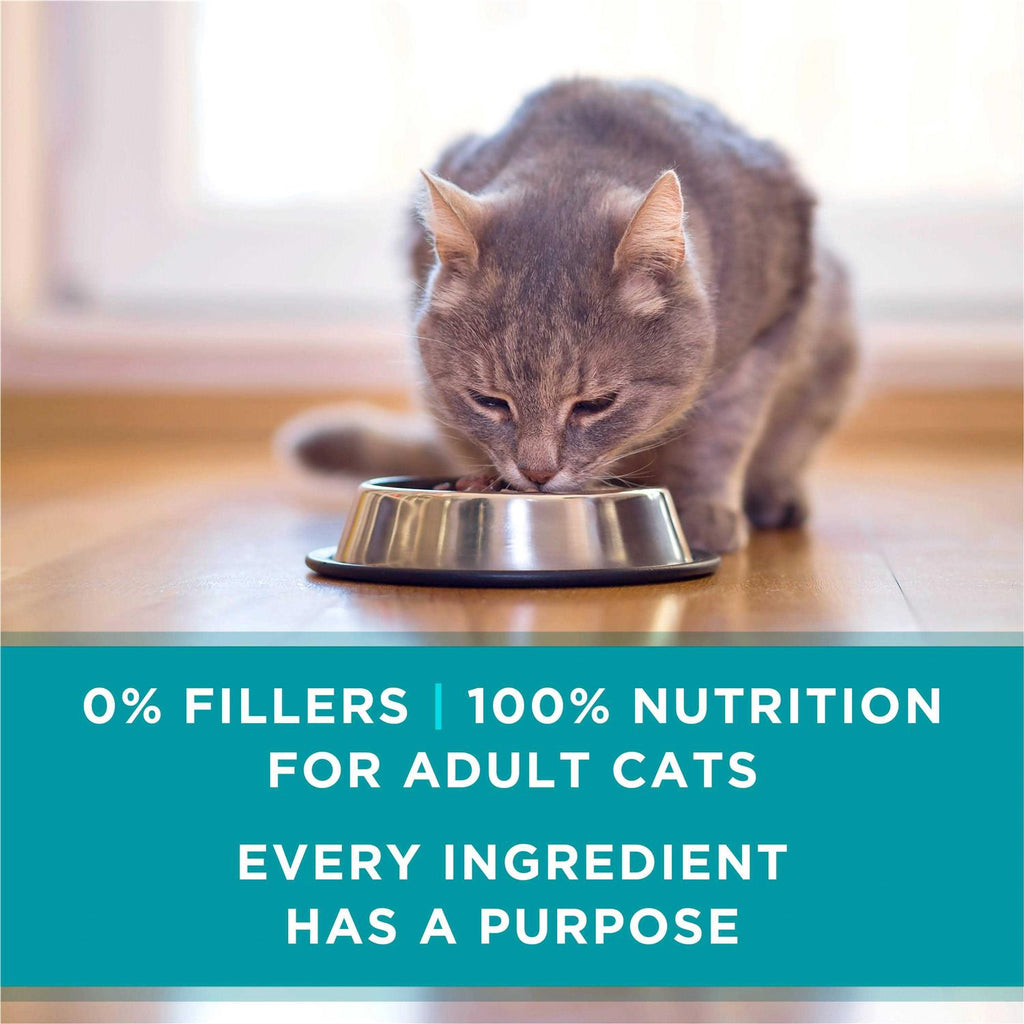 Wet Cat Food V179043