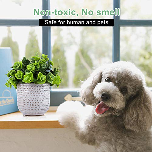 2 Pack Artificial Succulents in Ceramic Planters Fake Greenery Potted H1976