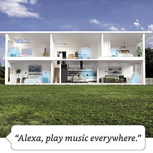 Glacier White Amazon Echo Alexa speaker M3918