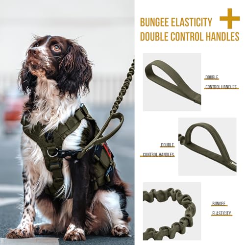 Grey Nylon Bungee Dog Training Leash with 2 Control Handle P497884