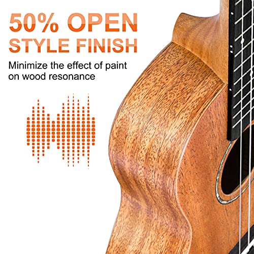 Concert Ukulele Mahogany 23 Inch Acoustic H625