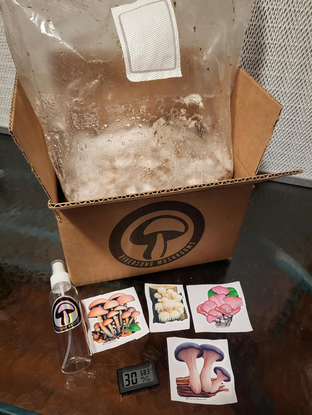 Lion's Mane Mushroom Grow Kit, XL/10lbs, White G351532