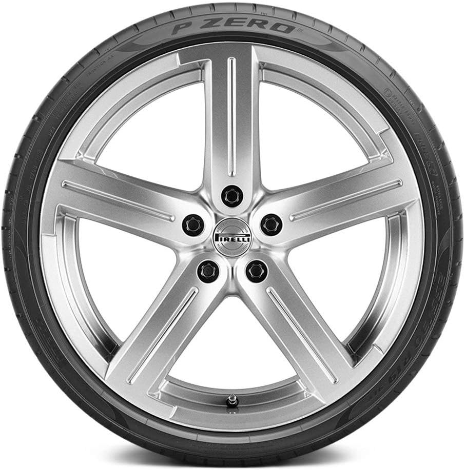 235/55R18 100V Performance Radial Tire N730382