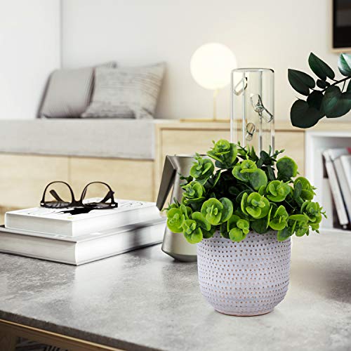 2 Pack Artificial Succulents in Ceramic Planters Fake Greenery Potted H1976
