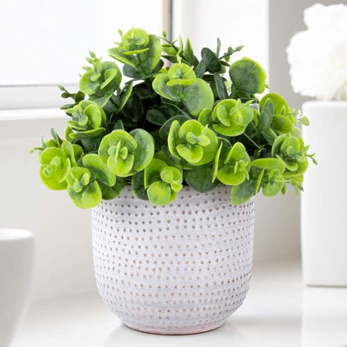 2 Pack Artificial Succulents in Ceramic Planters Fake Greenery Potted H1976