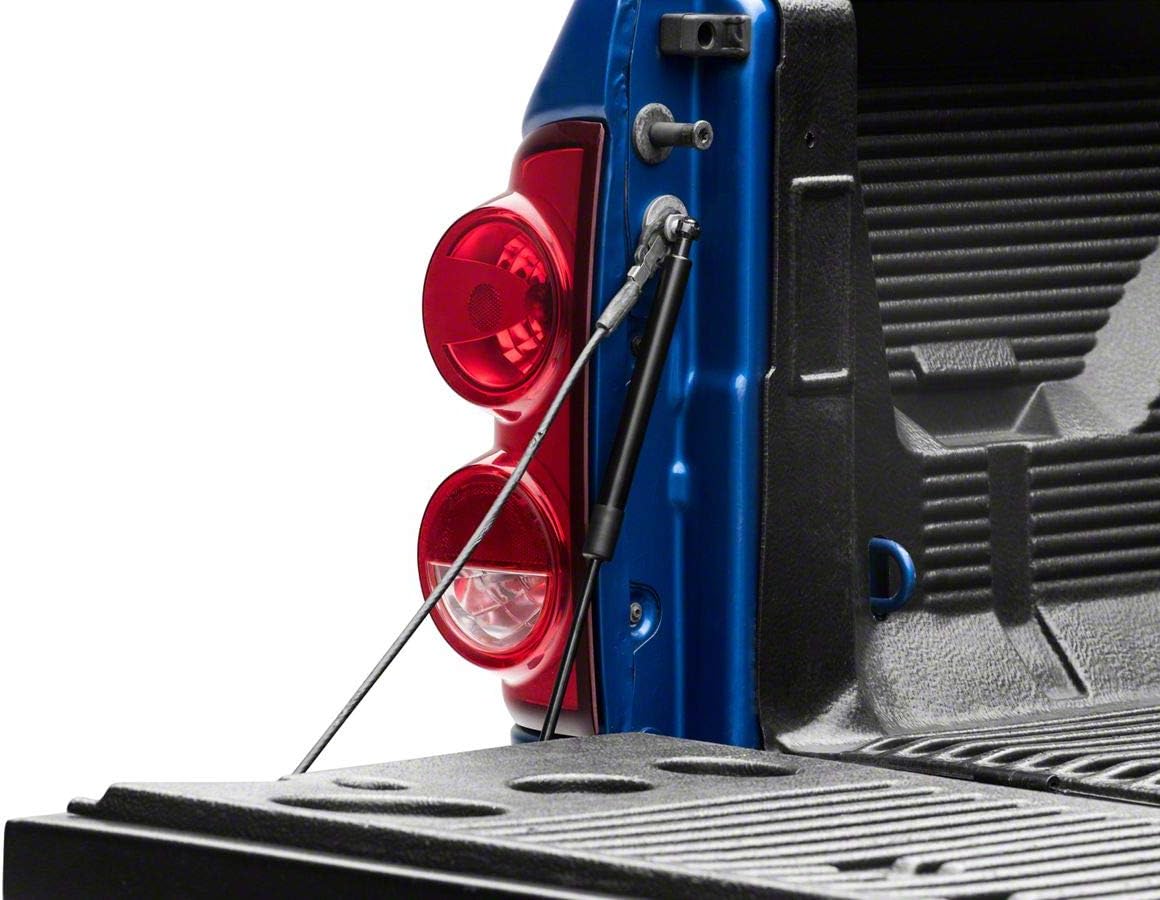 Tailgate Assist Compatible with 02-08 RAM 1500 Pack of 2 F5880