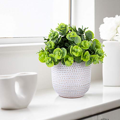 2 Pack Artificial Succulents in Ceramic Planters Fake Greenery Potted H1976