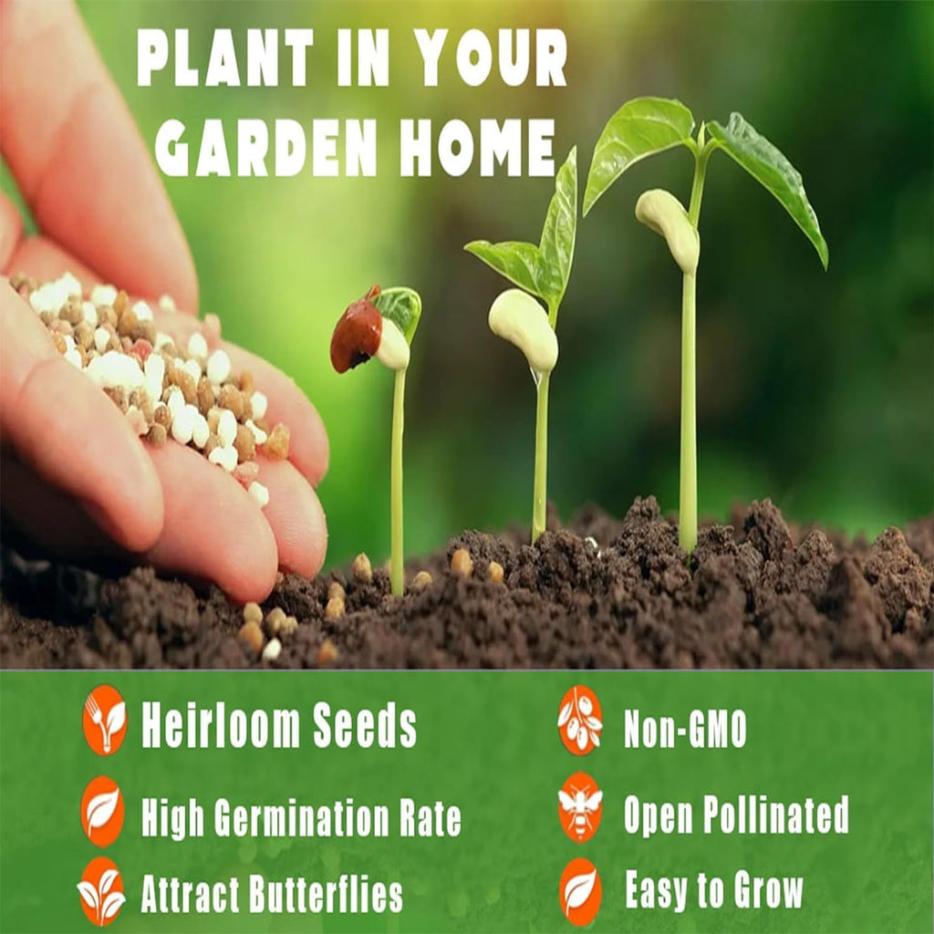 Wild Plum Tree Fruit Seeds for Planting R61054