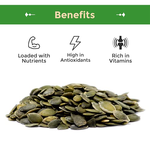 Unsalted Pumpkin Seeds (Pepitas) 1lb bag O36816