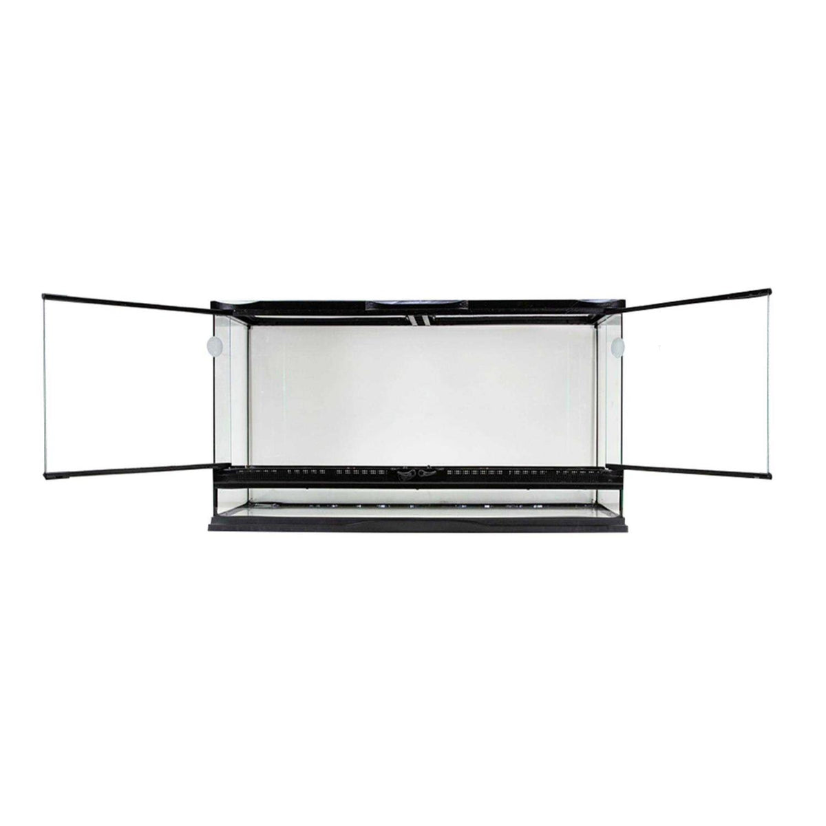 Naturalistic Terrarium Q239