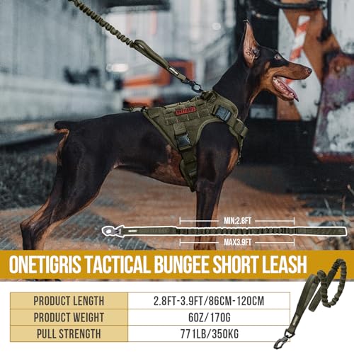 Grey Nylon Bungee Dog Training Leash with 2 Control Handle P497884