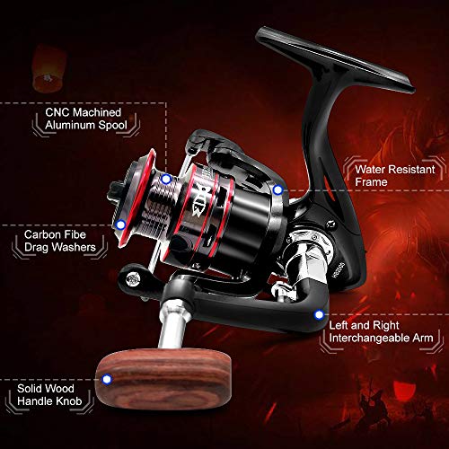 Ultralight Spinning Reel, 5.2:1 Gear Ratio, 12 Ball Bearings, Carbon Fiber Drag M446984