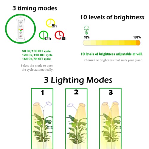 Full Spectrum LED Floor Plant Light with Timer Y387733
