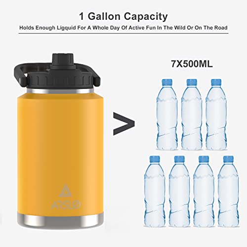 One Gallon Stainless Steel Water Bottle, 128 oz N894107