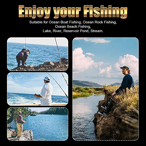 Ultralight Spinning Reel, 5.2:1 Gear Ratio, 12 Ball Bearings, Carbon Fiber Drag M446984
