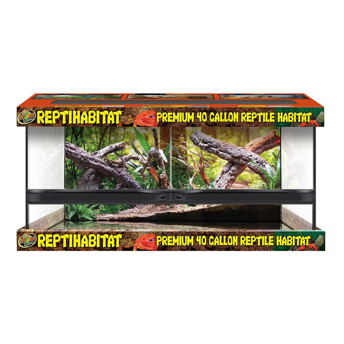 Naturalistic Terrarium Q239