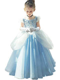 Cinderella Costume Princess Dress Up Ball Gown N454729