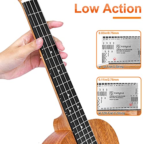 Concert Ukulele Mahogany 23 Inch Acoustic H625