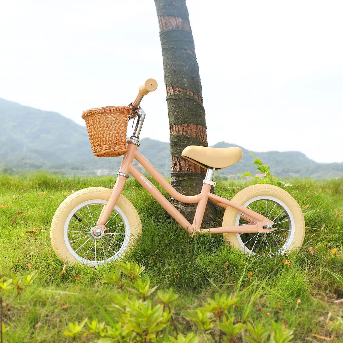 12 Inch Kids Balance Bike with Basket, Peach Y515342