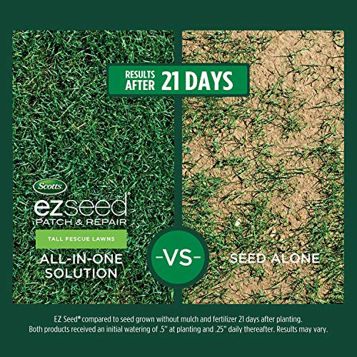 10 lb. Tall Fescue Seed and Fertilizer Mix G933868