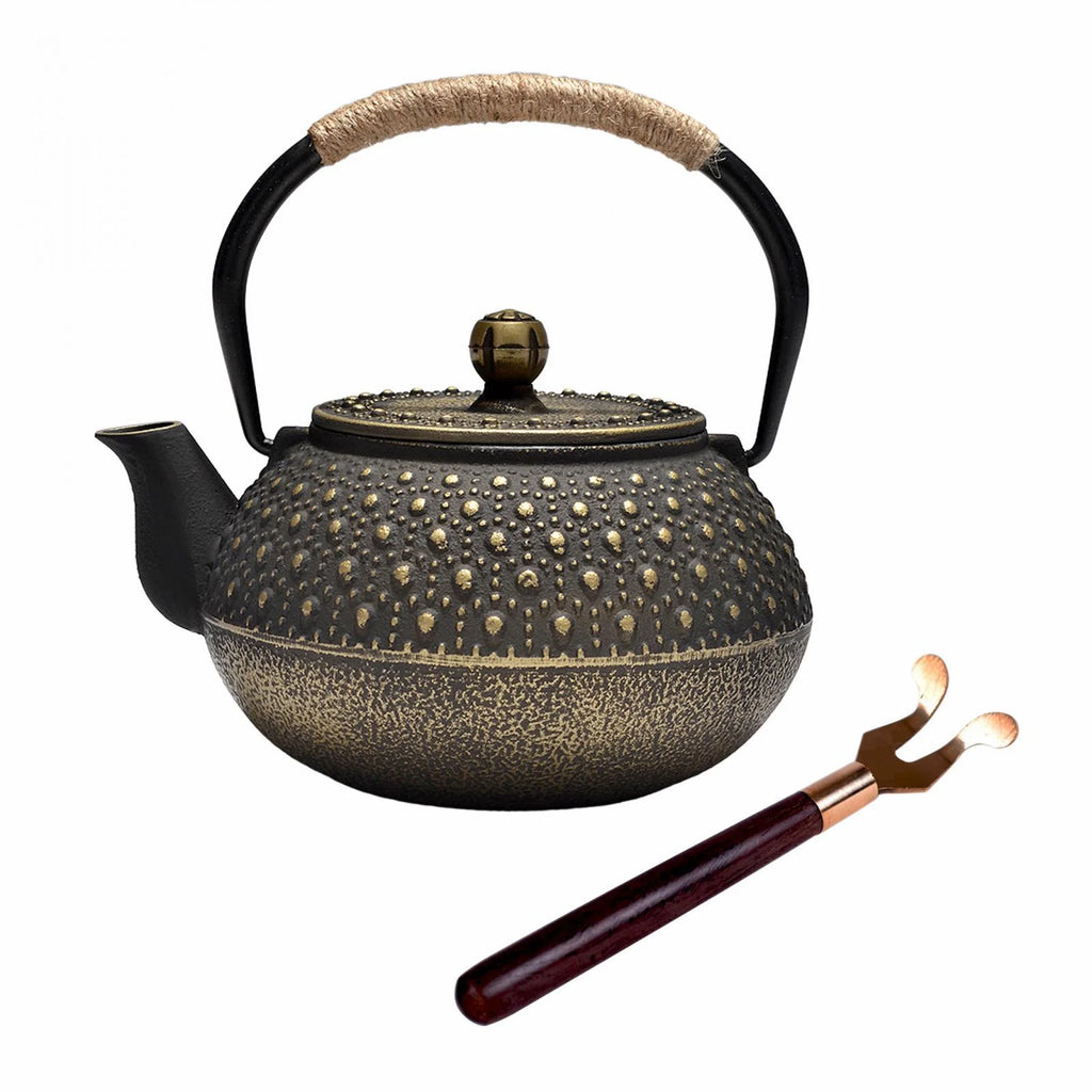 Cast Iron Teapot Farmhouse Tea Kettle D46467