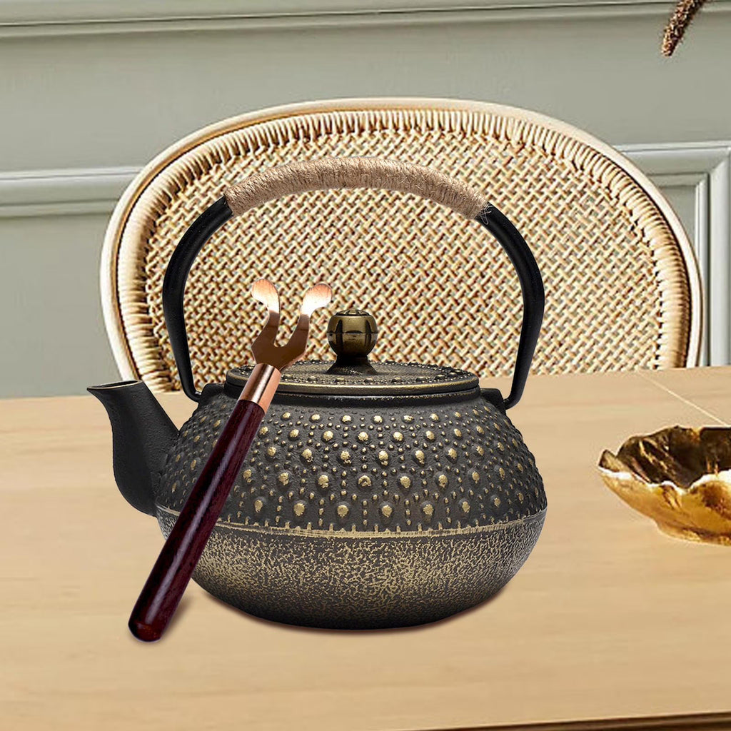 Cast Iron Teapot Farmhouse Tea Kettle D46467