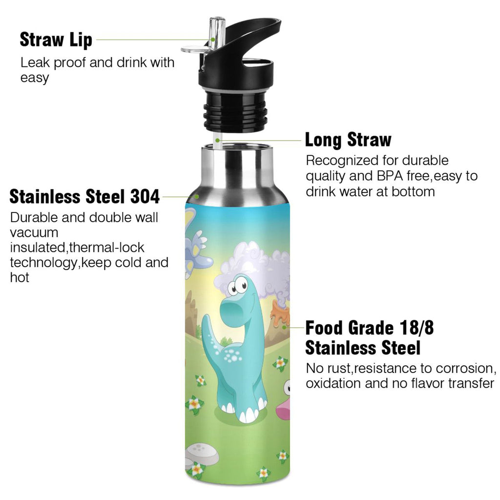 Stainless Steel Vacuum Insulated Water Bottle with Straw Lid 20 OZ M184476