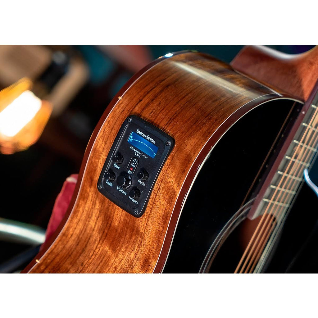Charcoal Burst Gloss Guitar I9133