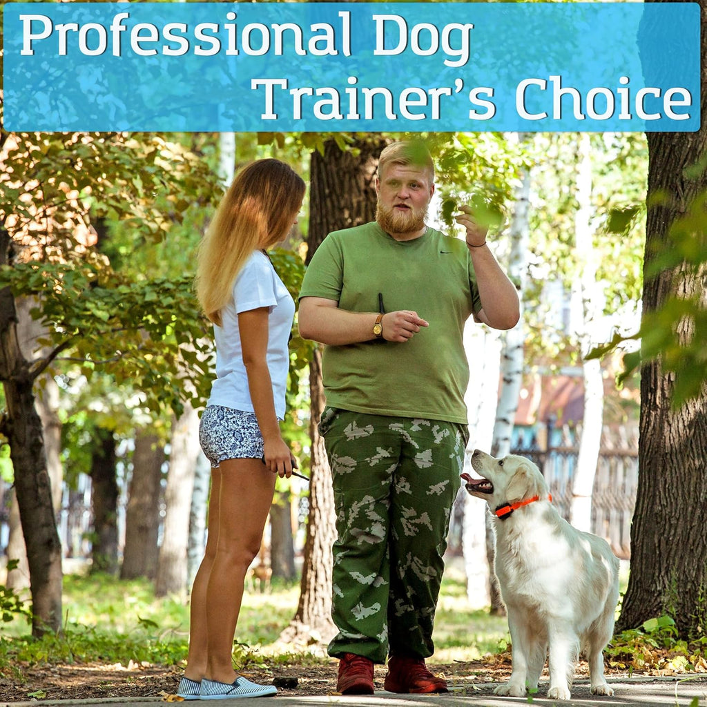 Waterproof Remote Training E-Collars for 2 Dogs S92026
