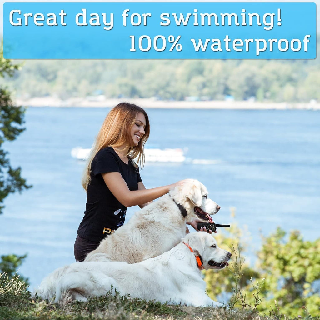 Waterproof Remote Training E-Collars for 2 Dogs S92026